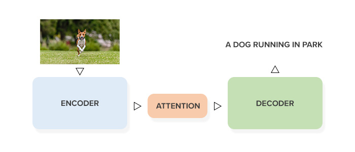 Attention in Sequence To Sequence Models