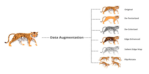 What Is Data Augmentation In Deep Learning? Techniques And Applications