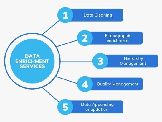 Data Enrichment Services