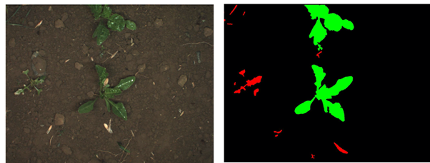 Image_Segmentation_Agriculture