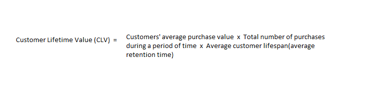 Customer Lifetime Value (CLV)