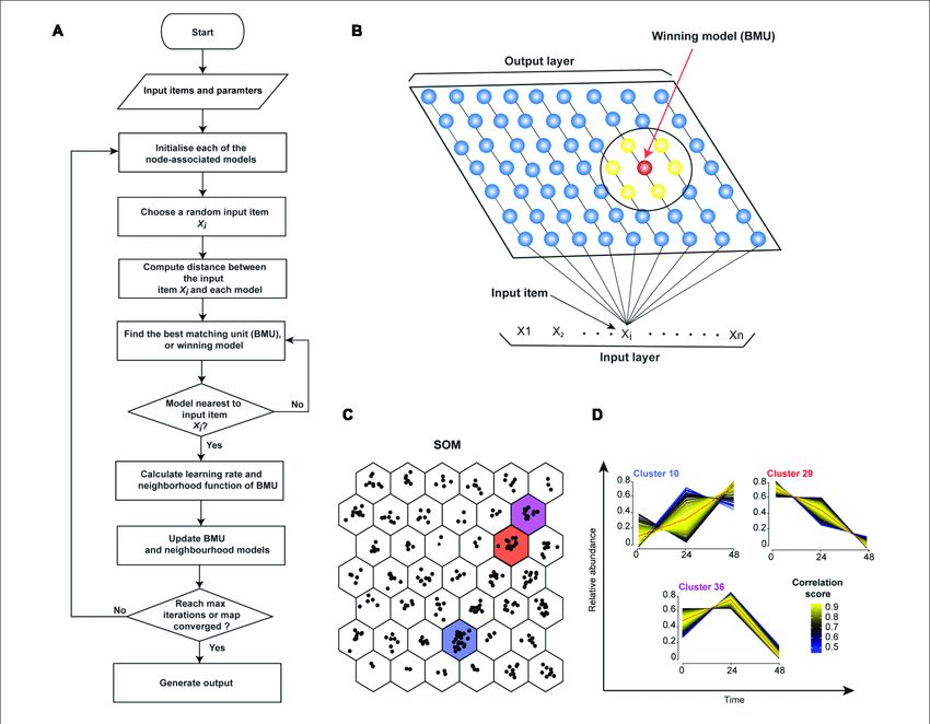 Self-Organizing-Map